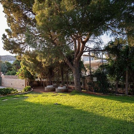 苏尼翁Sounio Panoramic Loft公寓 外观 照片