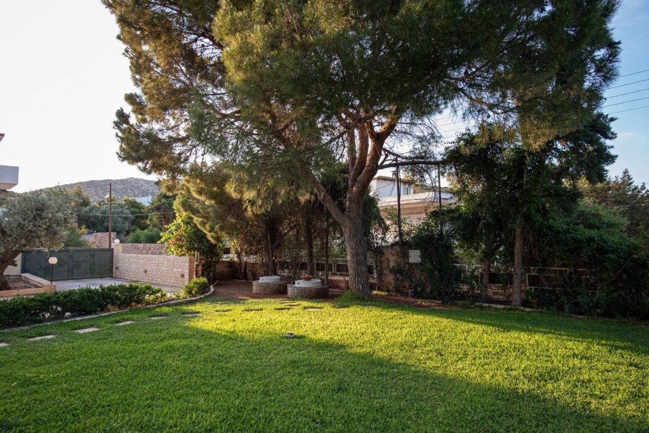 苏尼翁Sounio Panoramic Loft公寓 外观 照片